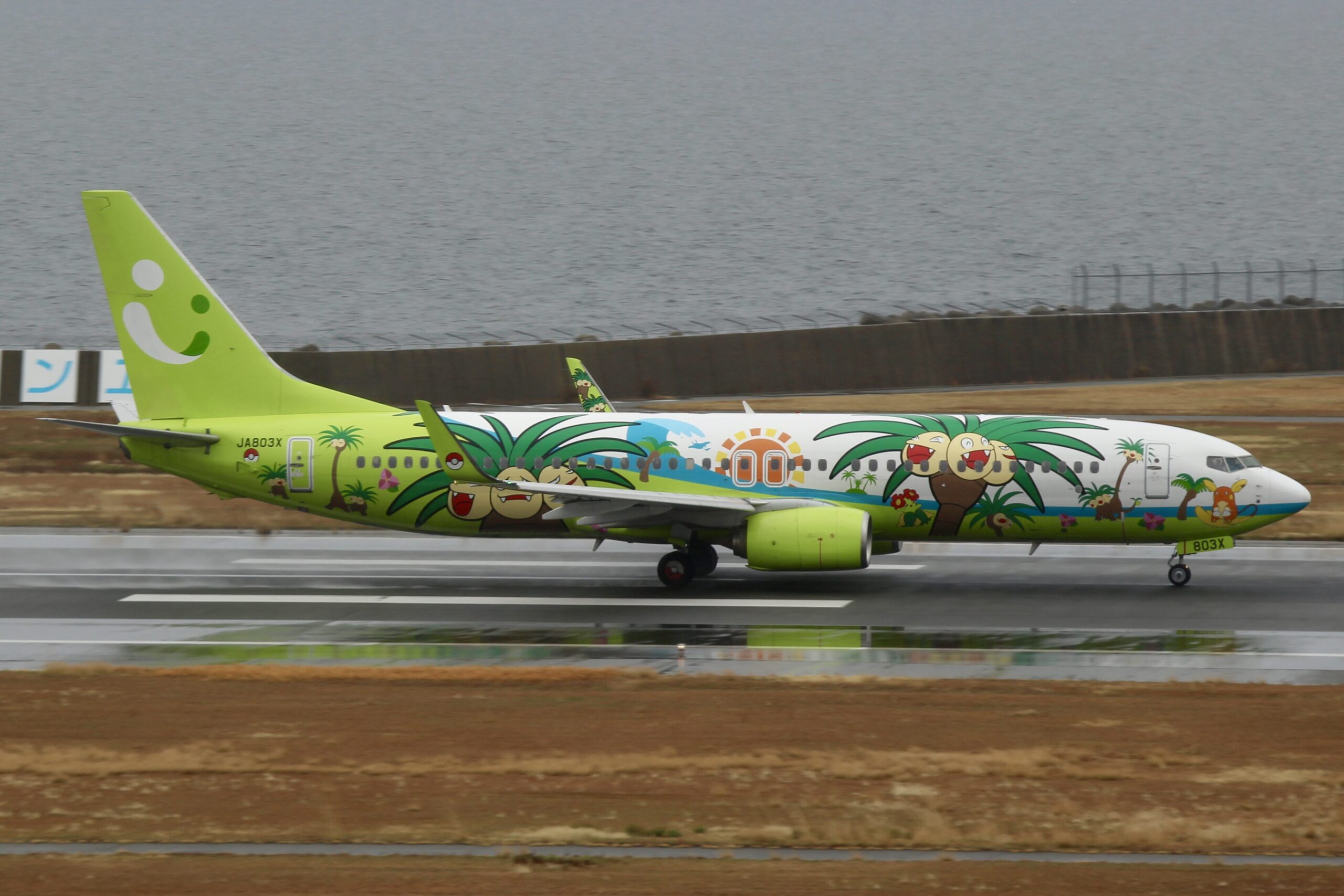 JA803X ナッシージェット宮崎