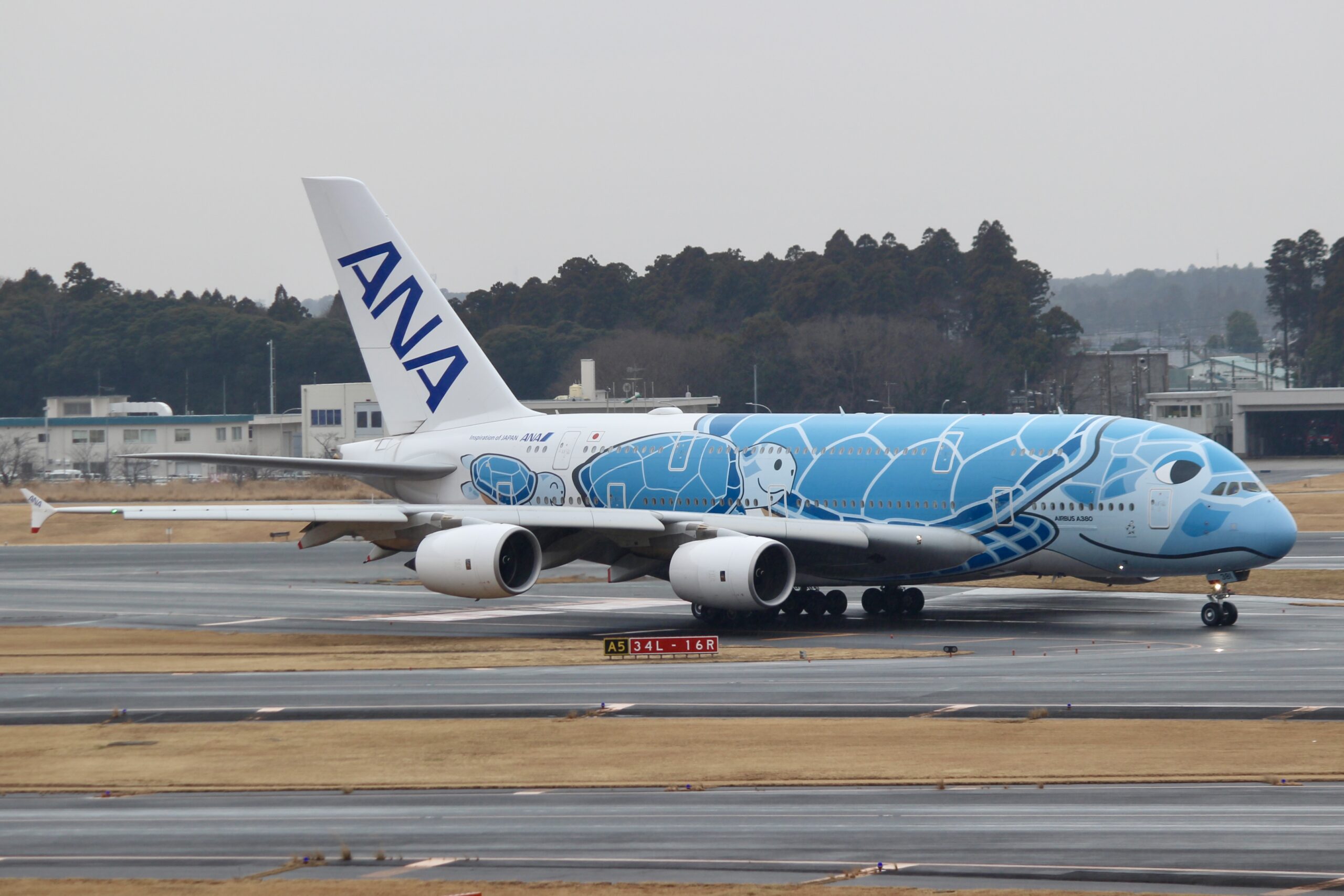 JA381A フライングホヌ 1号機