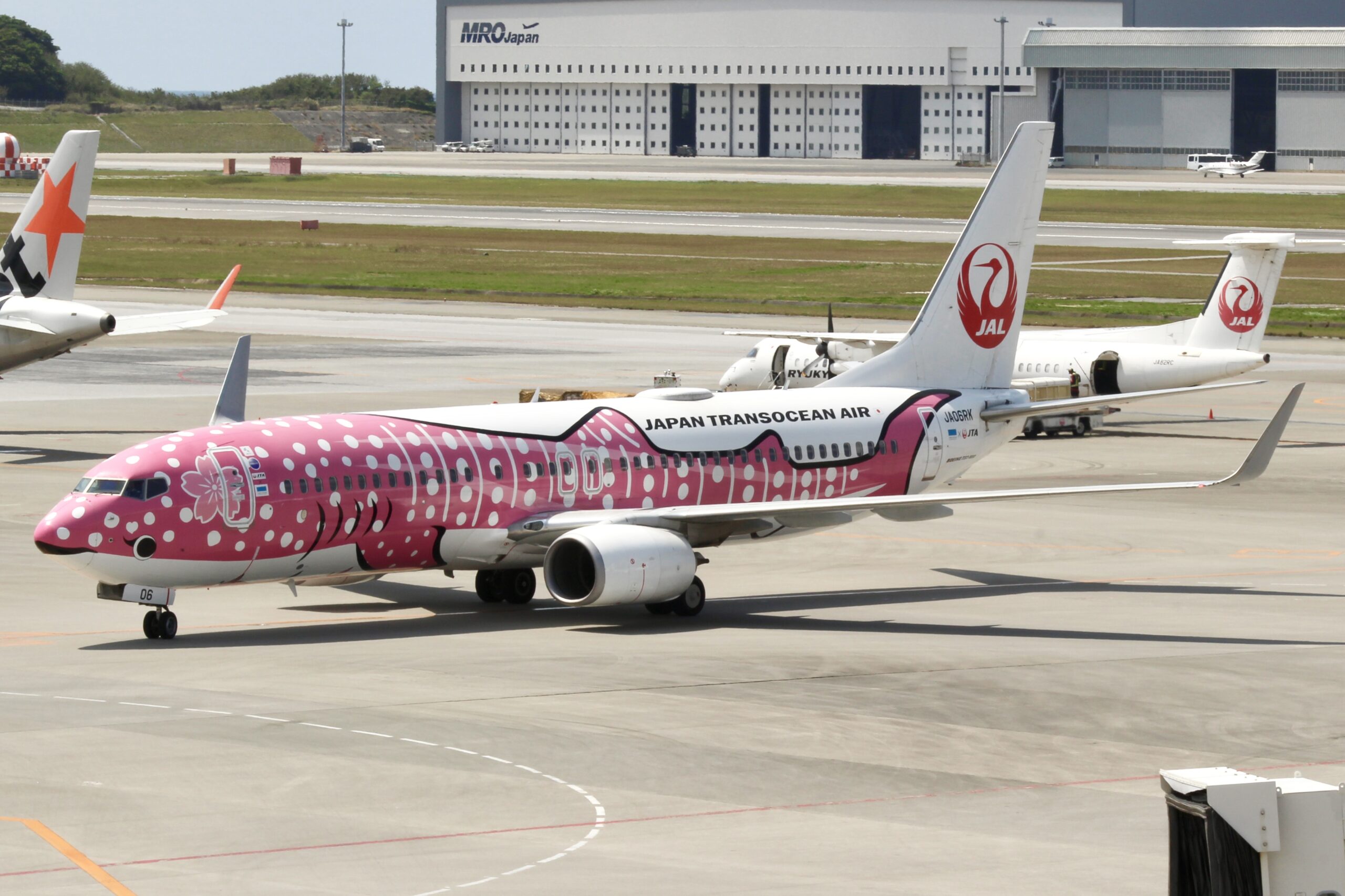 JA06RK サクラジンベイジェット