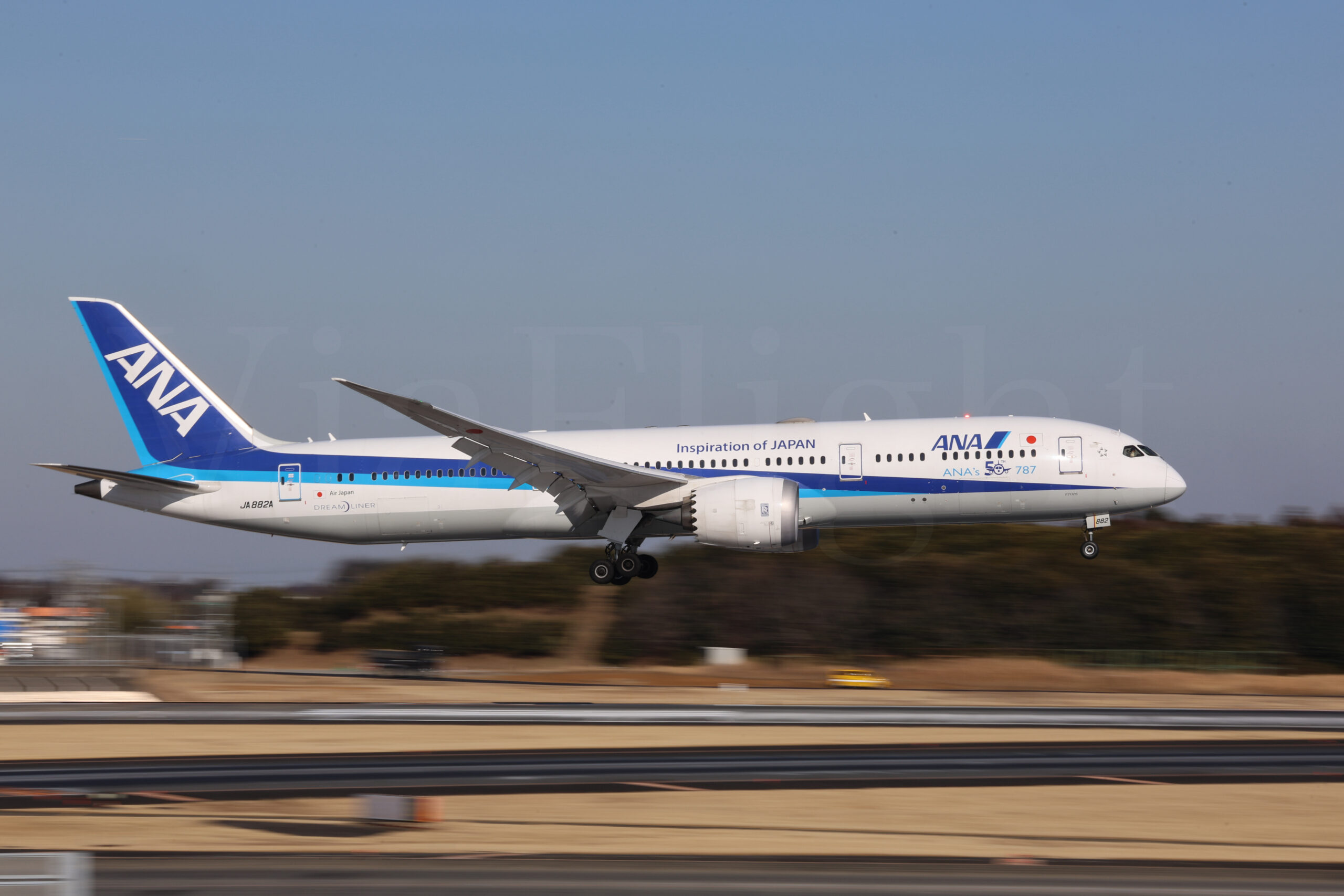 JA882A B787 50機記念塗装