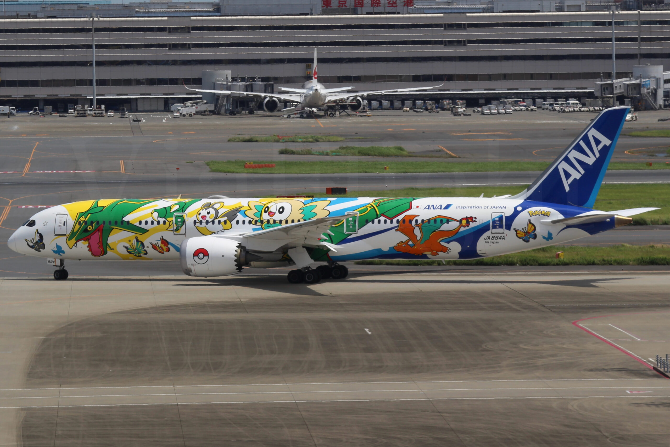 写真1