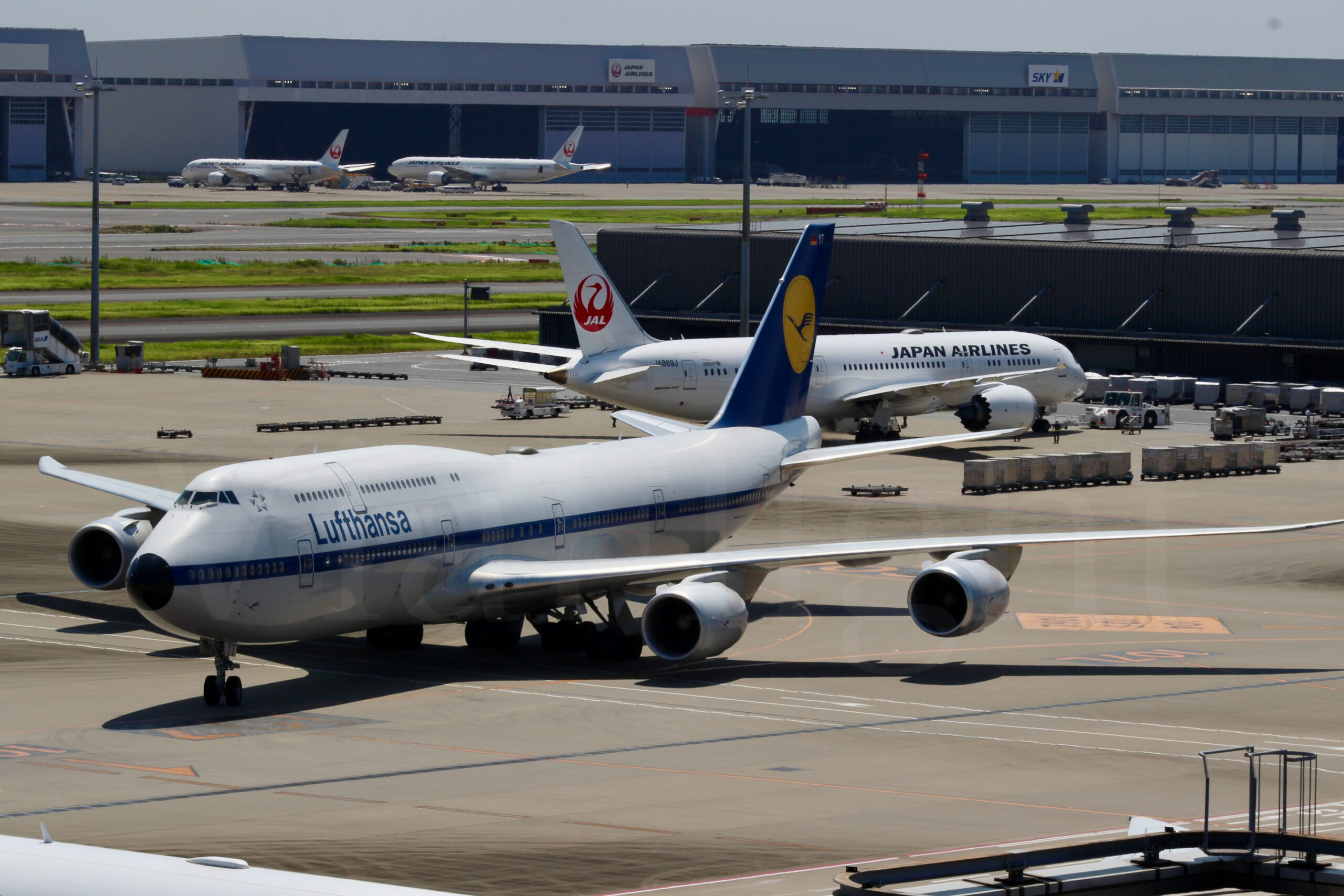 D-ABYT レトロ塗装