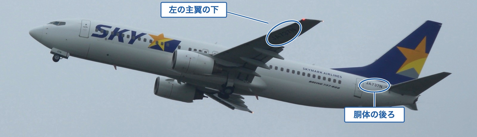 曇り空を上昇するスカイマークのボーイング737-800、JA737Nを下から撮った写真。胴体の後ろと、左の主翼の下の面に、どちらもJA737Nと書かれていて、2か所を丸で囲んでいる