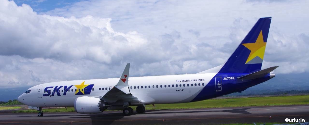 スカイマークのボーイング737-8、JA738Aを横から撮った写真。翼の先が上下に分かれていて、上の部分に赤いハートが2つ描かれている。胴体に737-8の文字が見える
