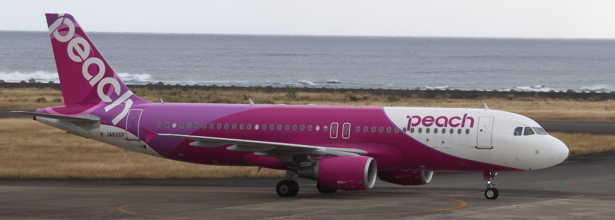 地上にいるPeachのエアバスA320ceo(JA826P)を横から撮った写真