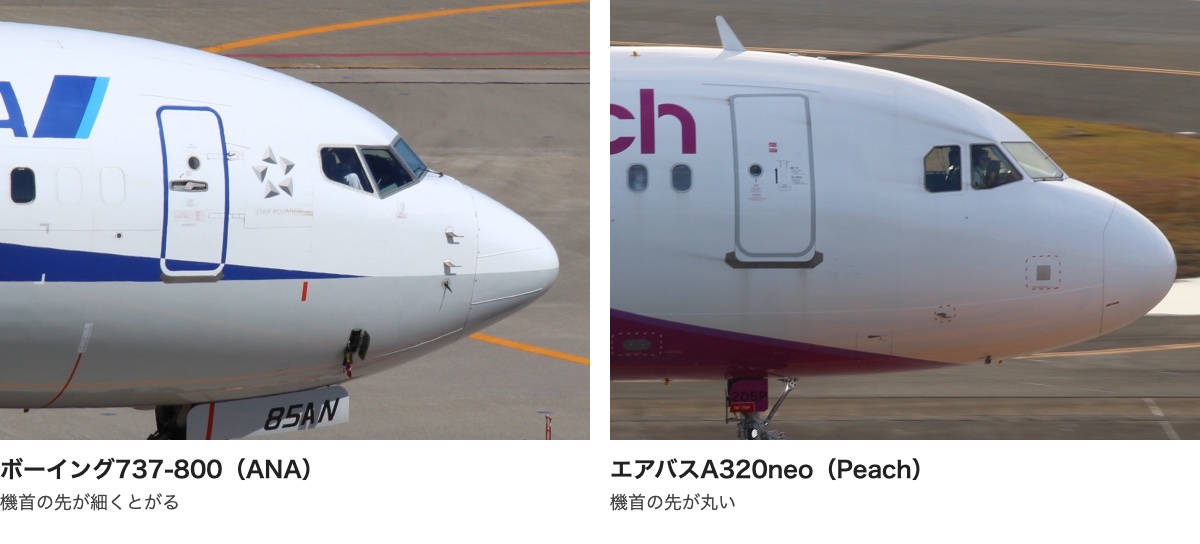 ANAのボーイング737-800とPeachのエアバスA320neoの機首を横から並べた写真。737-800は先が細くとがり、A320neoは先が丸い
