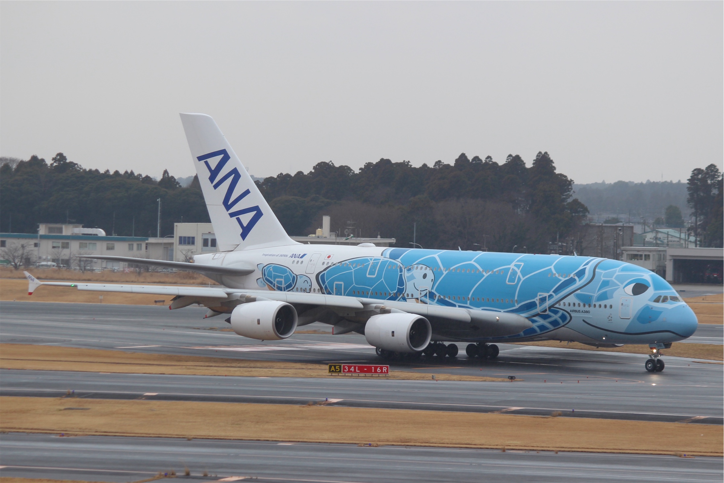 ANAのエアバスA380 FLYING HONU 1号機 JA381A（青色）