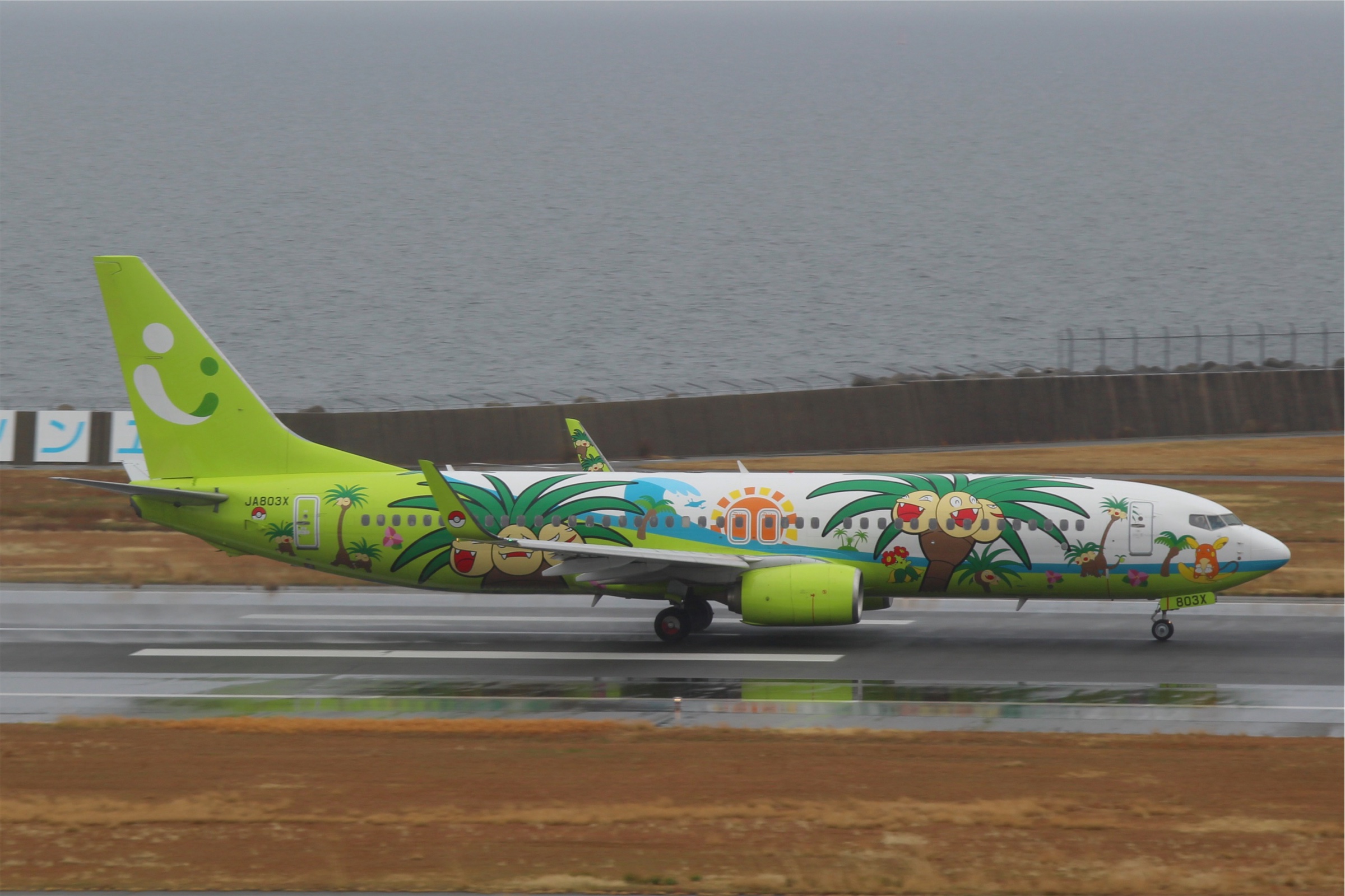 ソラシドエアのボーイング737-800 ナッシージェット宮崎 JA803X